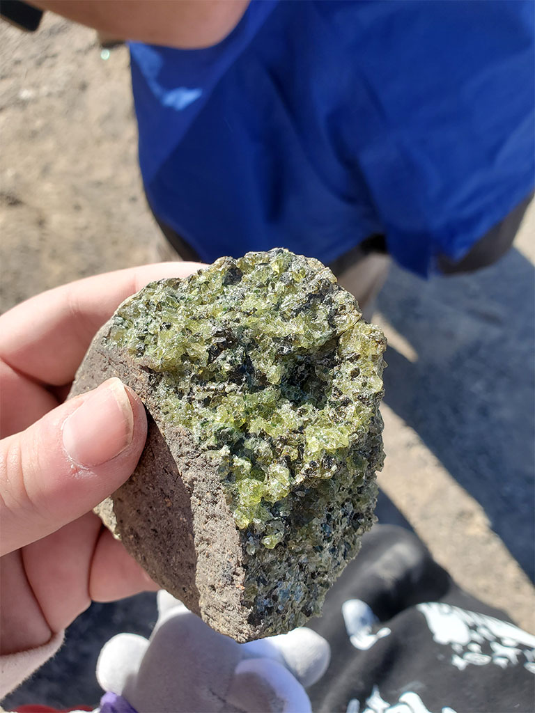 Great find by a student! Photo credit: Noam Mullinax