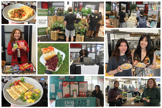 mardi-gras-highlights