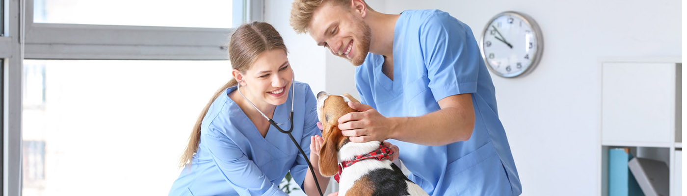 Online Veterinary Assistant Training Banner