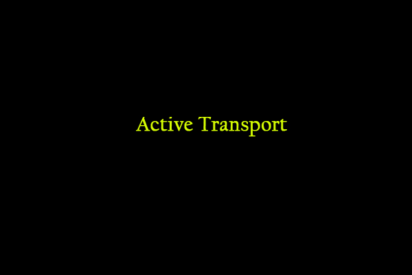 active transport