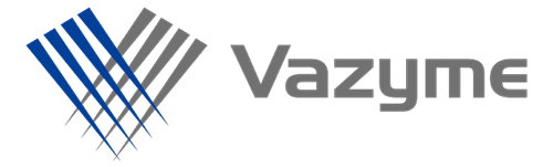 Vazyme logo