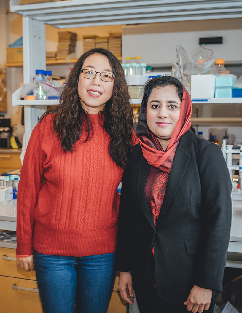 Sharif and Liu in laboratory
