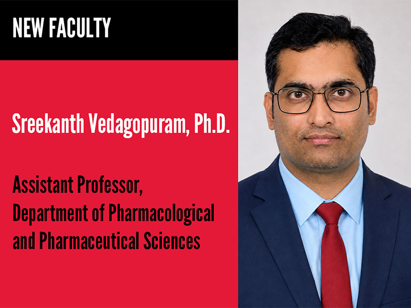 Sreekanth Vedagopuram
