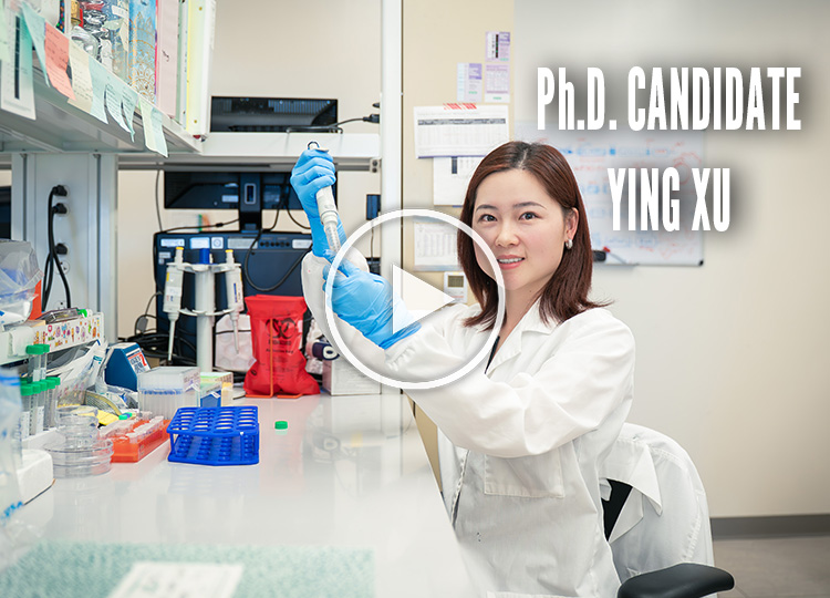 Ying Xu Thumbnail to Video