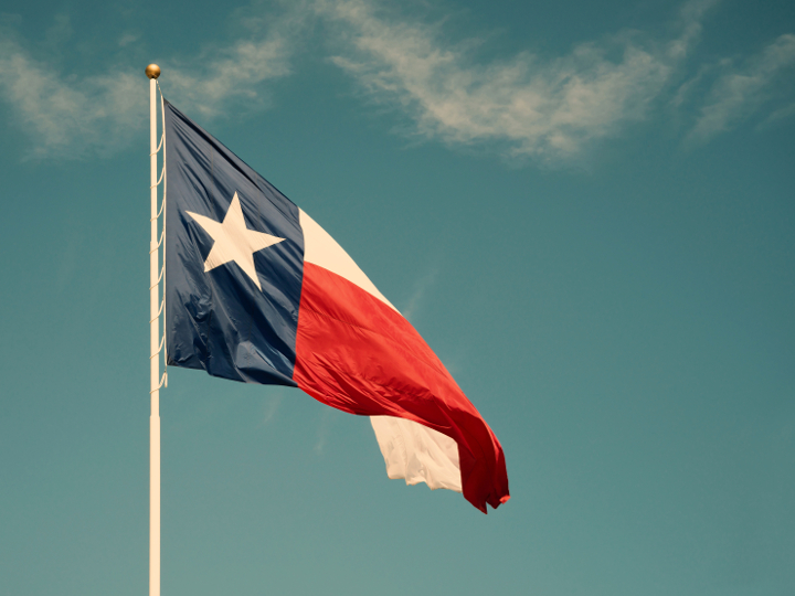 Image of Texas Flag