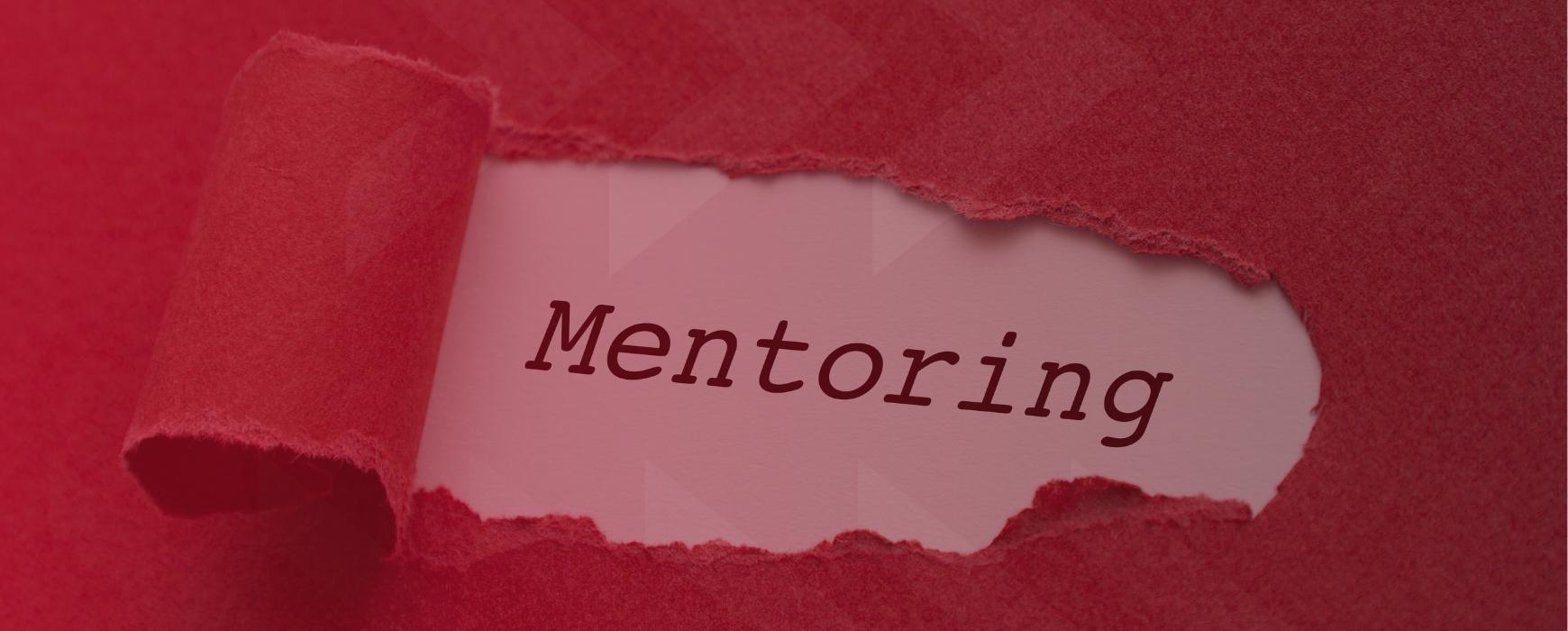 Image with the word Mentoring